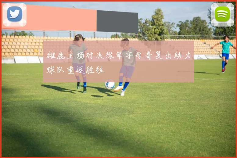 雄鹿主场对决绿军字母哥复出助力球队重返胜轨