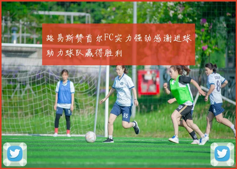 路易斯赞首尔FC实力强劲感谢进球助力球队赢得胜利