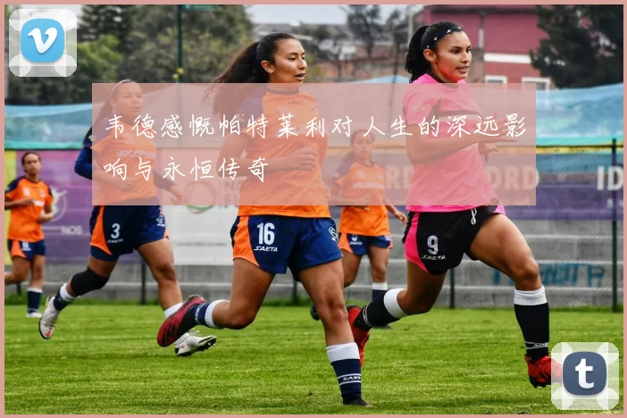 韦德感慨帕特莱利对人生的深远影响与永恒传奇
