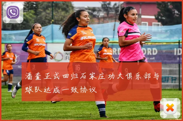 潘奎正式回归石家庄功夫俱乐部与球队达成一致协议