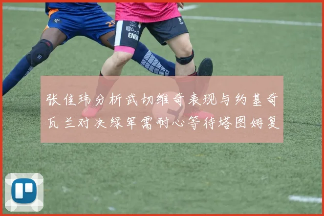 张佳玮分析武切维奇表现与约基奇瓦兰对决绿军需耐心等待塔图姆复出