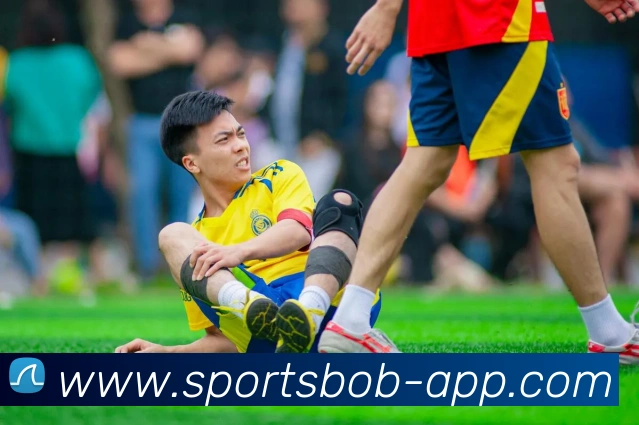 BOB体育APP 封面图